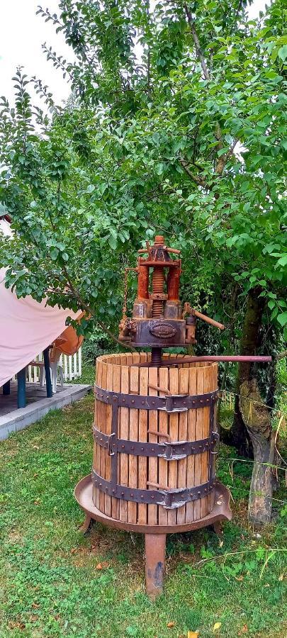 Spresiano Terrebioヴィラ エクステリア 写真